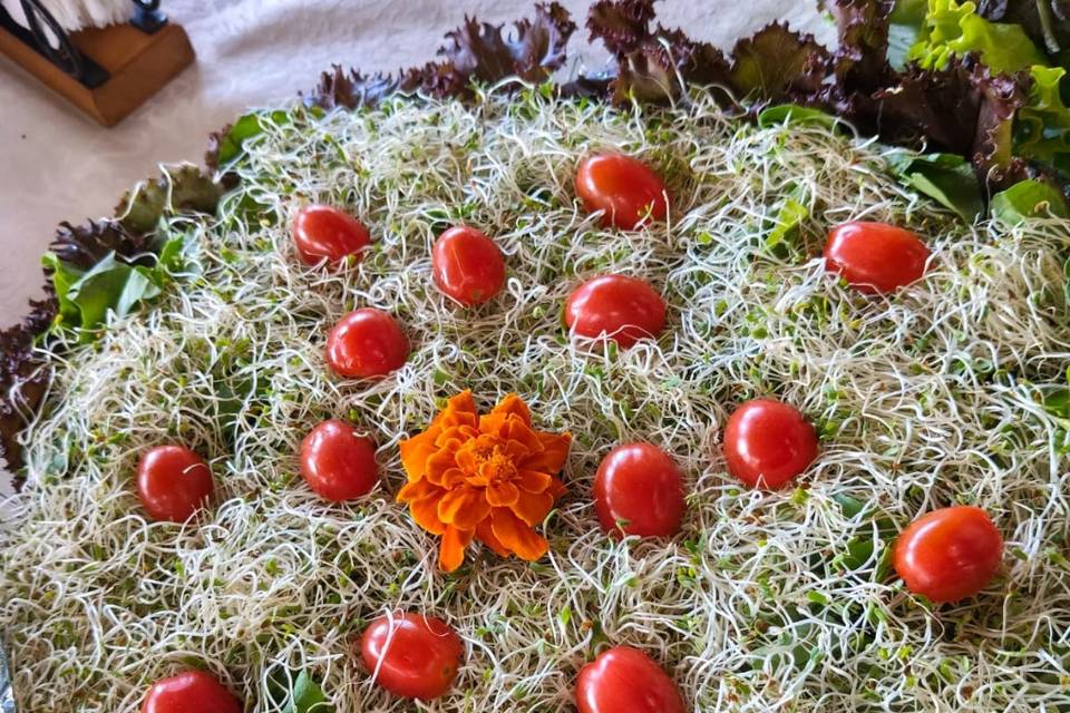Mix Folhas Verdes e Tomates