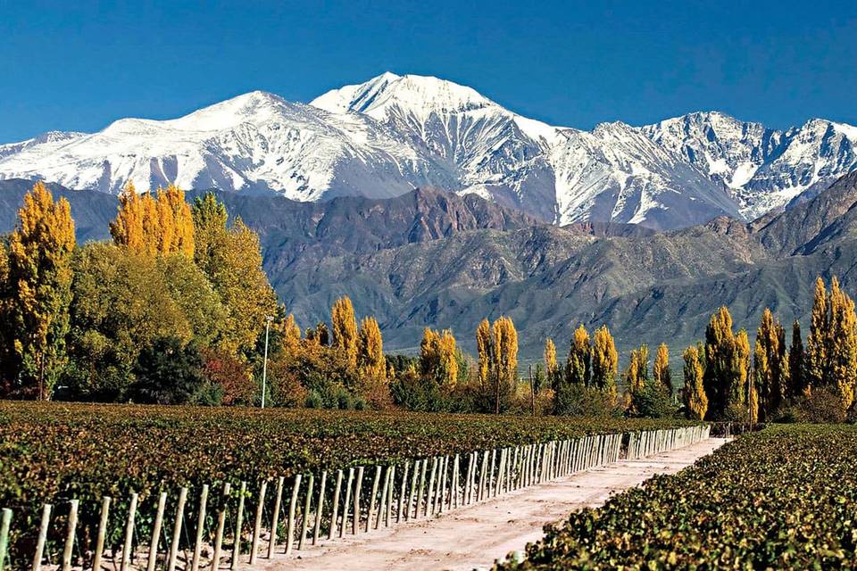 Mendoza