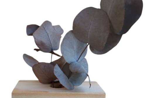 Porta raminho com frase