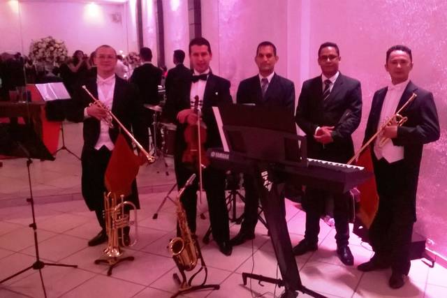 Piano,corda e metais