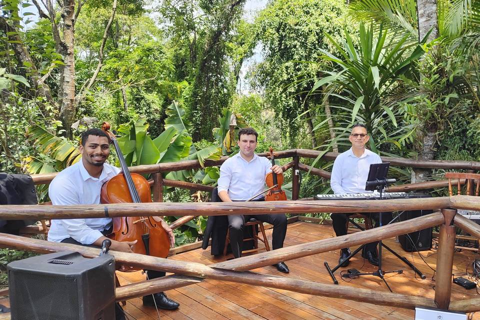 Cello, teclado e violino