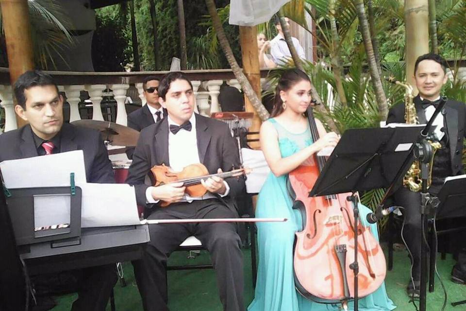 Quinteto com cello