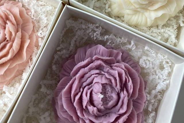 Peonia