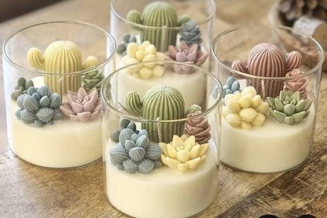 Terrario Cactos