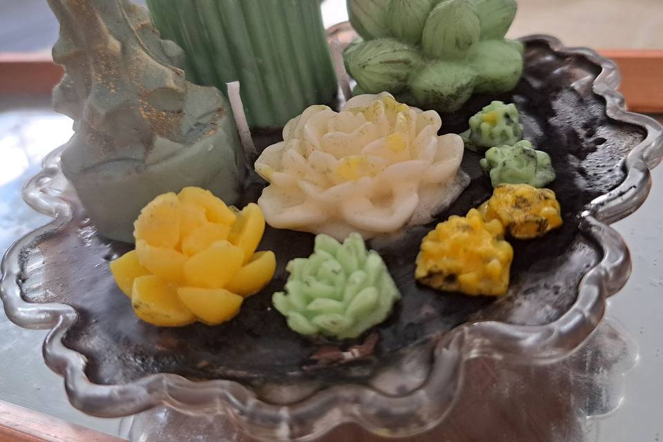 Terrario de Cactos 56.00