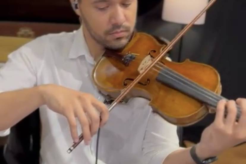 Violino