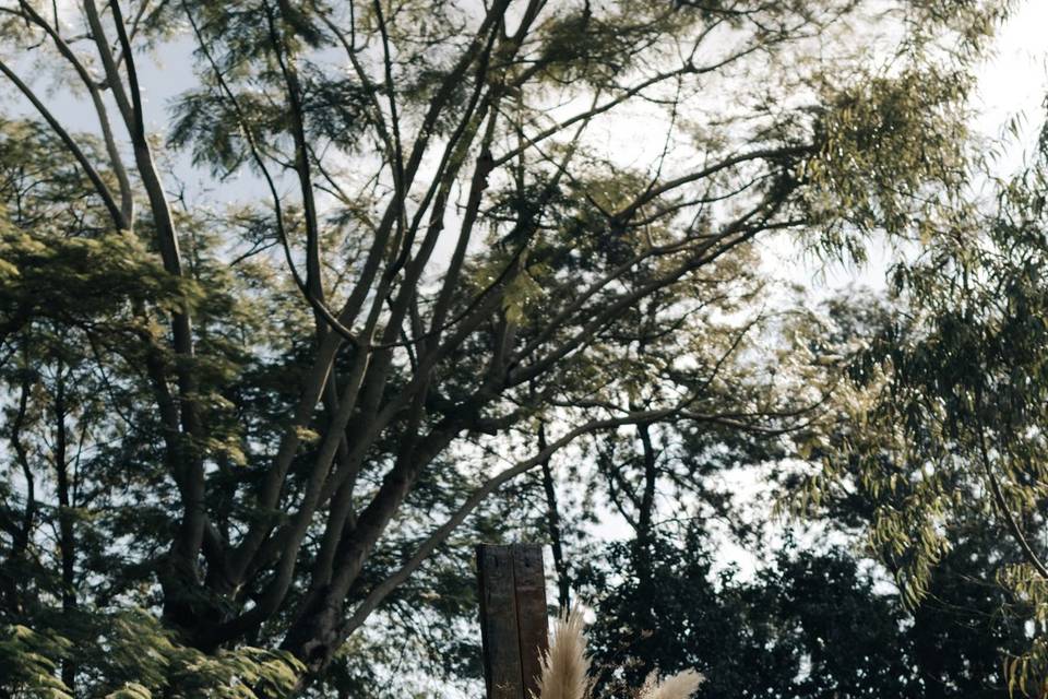 Vitória & William