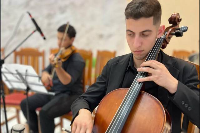 Violoncelo