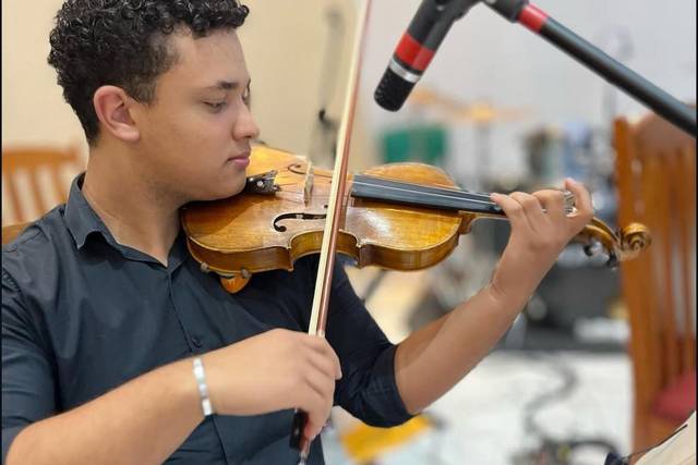 Violino