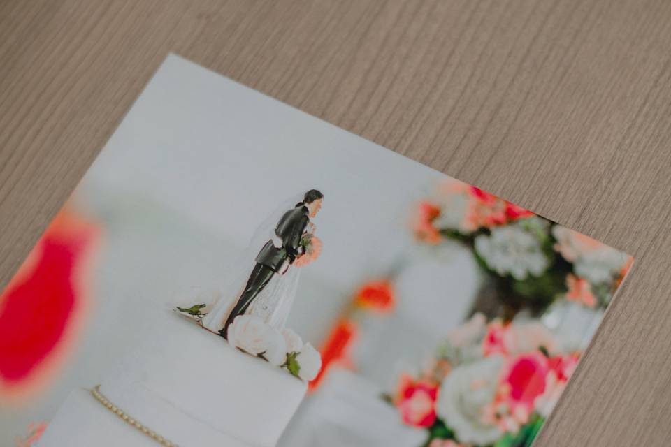 Album de Casamento