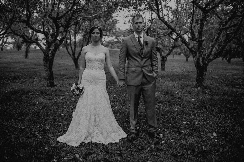 Casamento