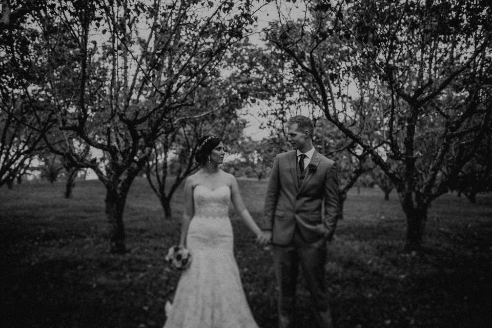 Casamento