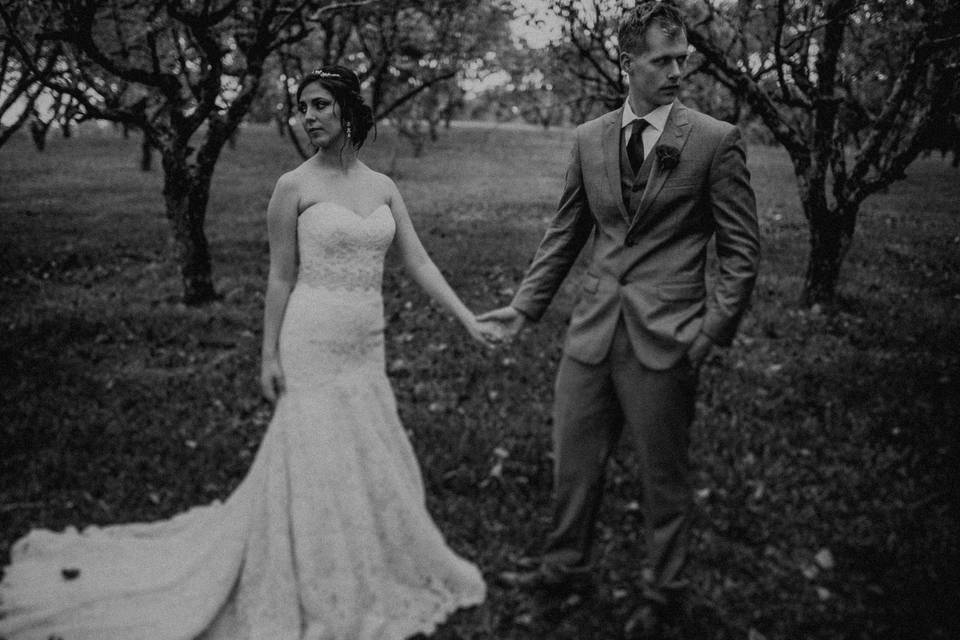 Casamento
