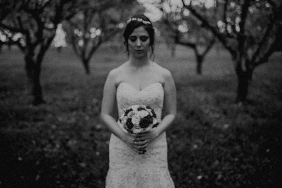 Casamento