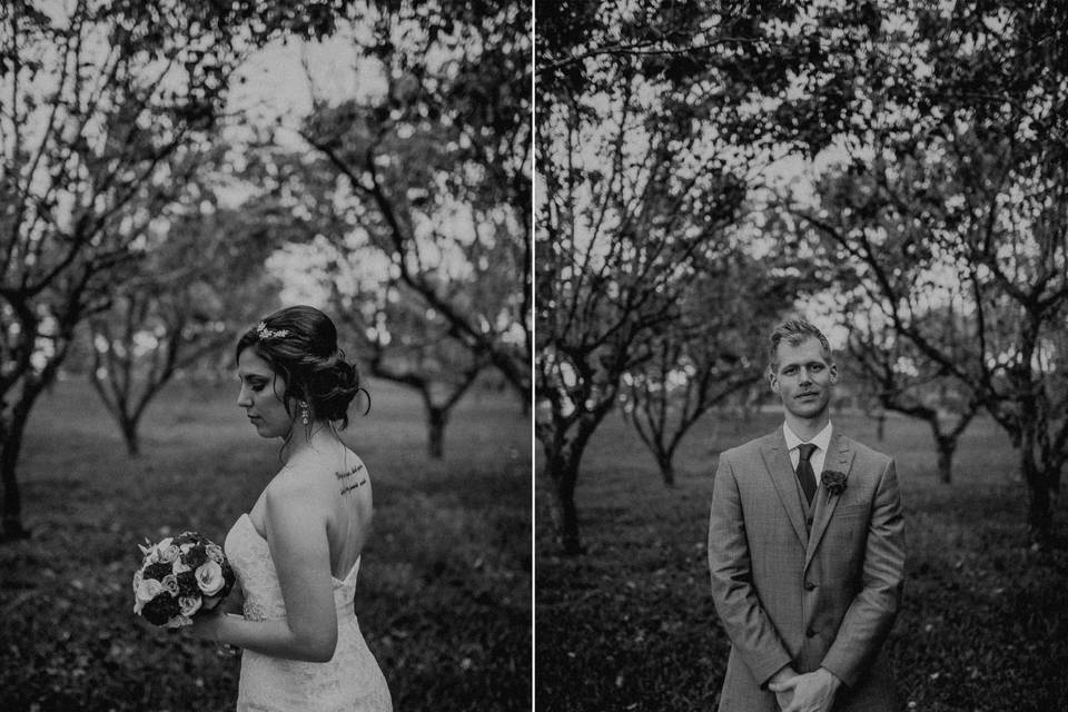 Casamento