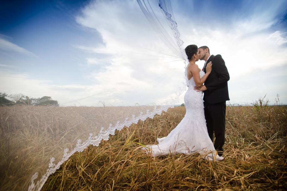 Trash The Dress