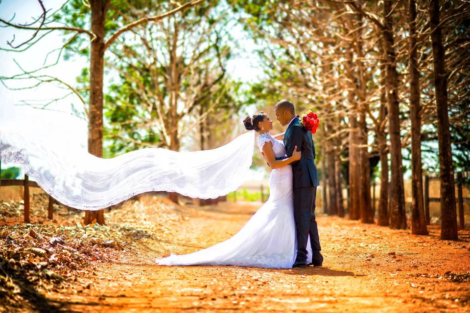 Trash the Dress