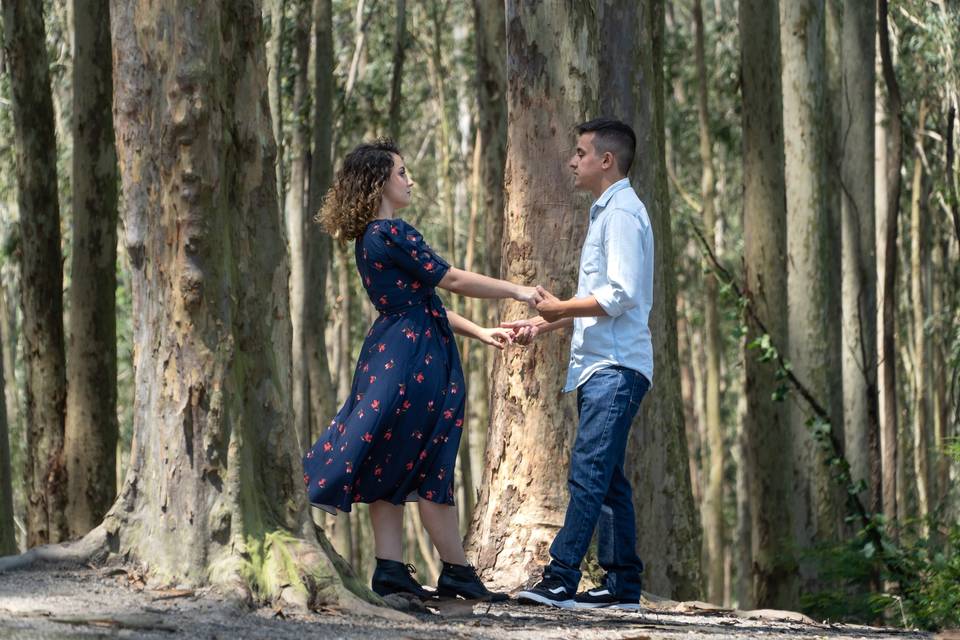 Ensaio Pré Wedding
