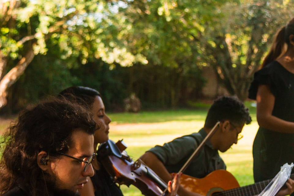 Violino, violão e teclado.