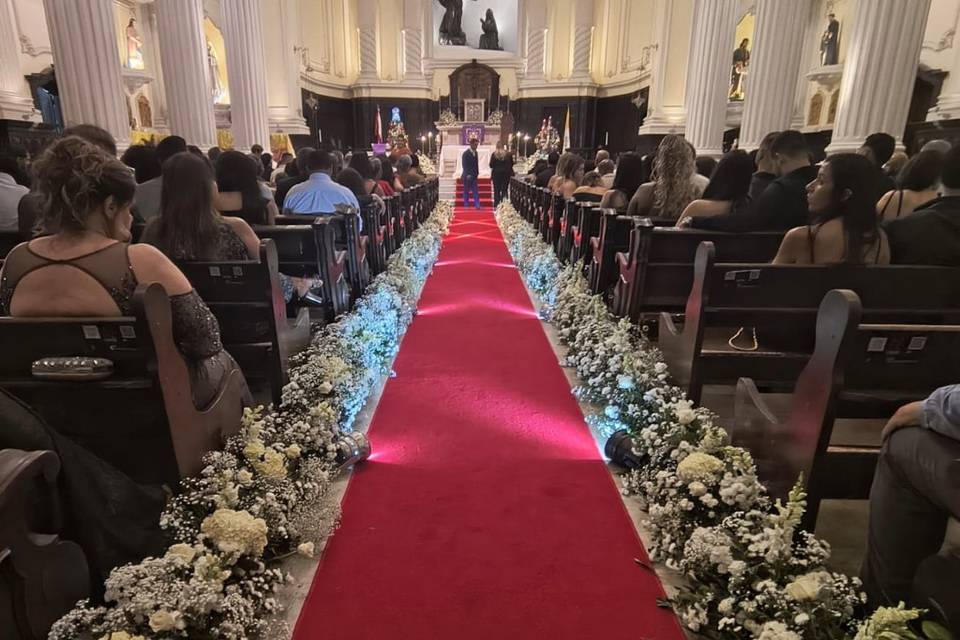 Jardineiras continua