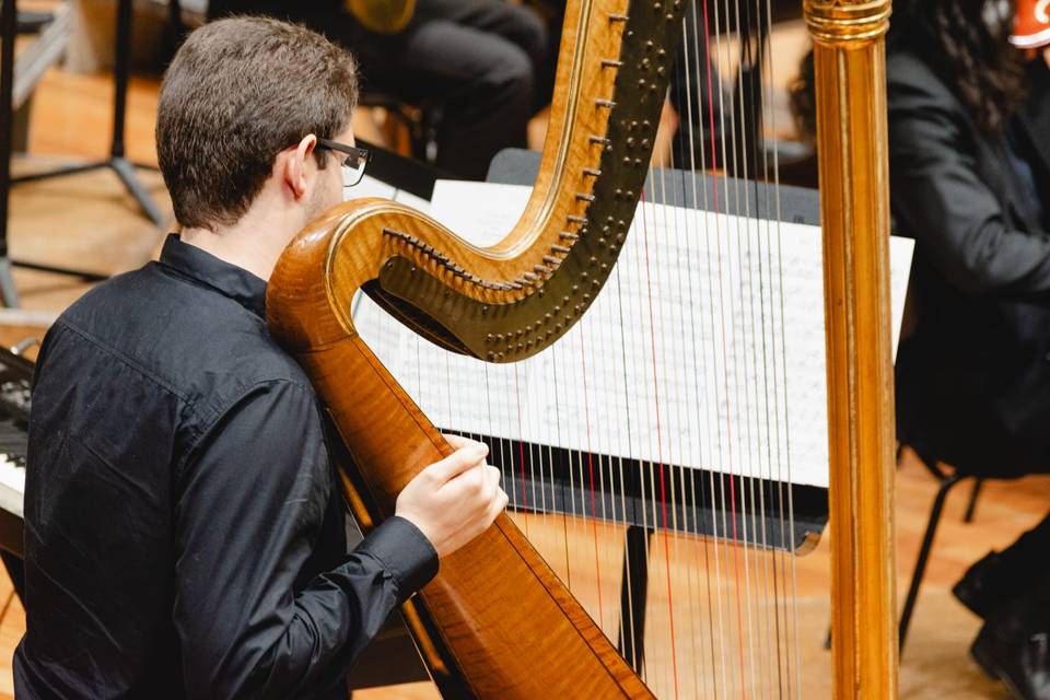 Harpa em orquestra