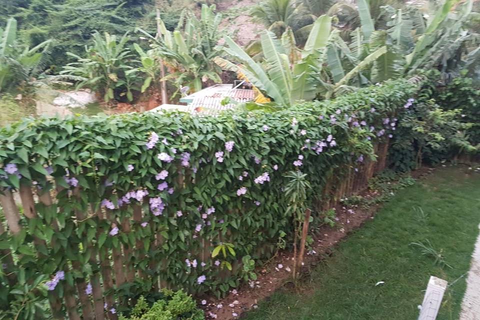 Flores do jardim