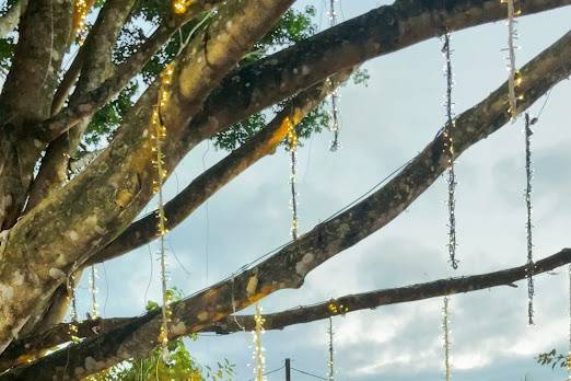 Kátia & Gabriel 07.03.2025