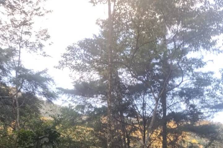 Sr
