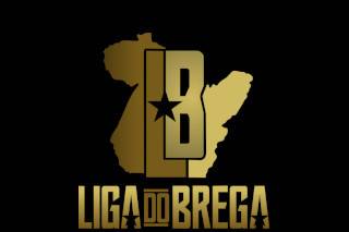 liga do brega logo