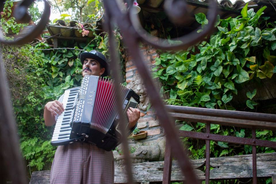 Musico recepção casamento