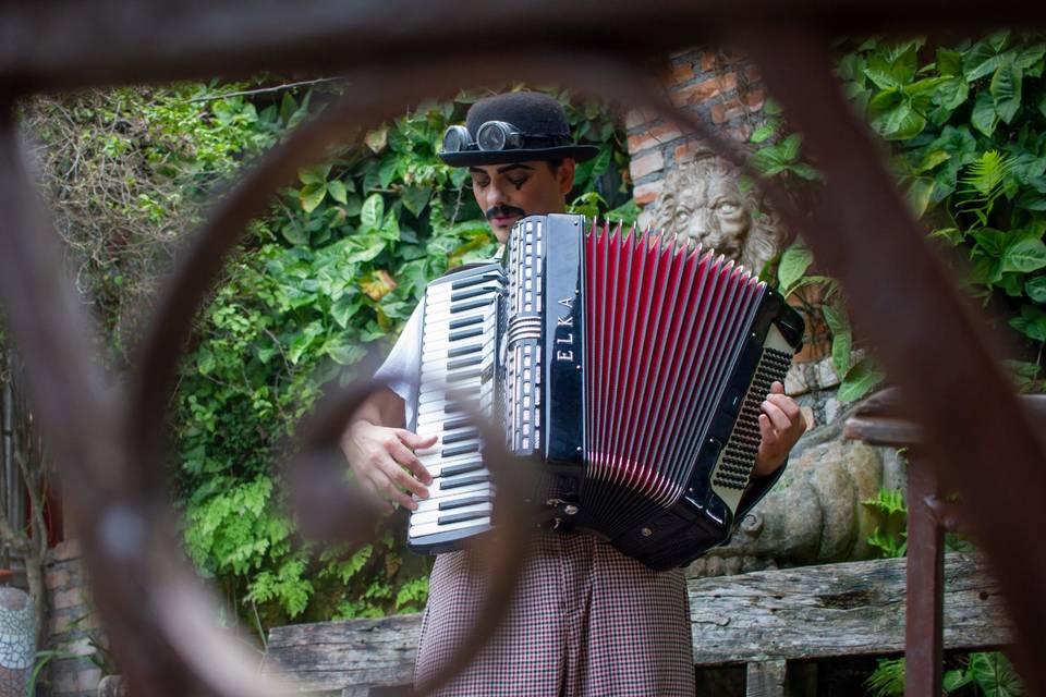 Recepção sanfoneiro festas