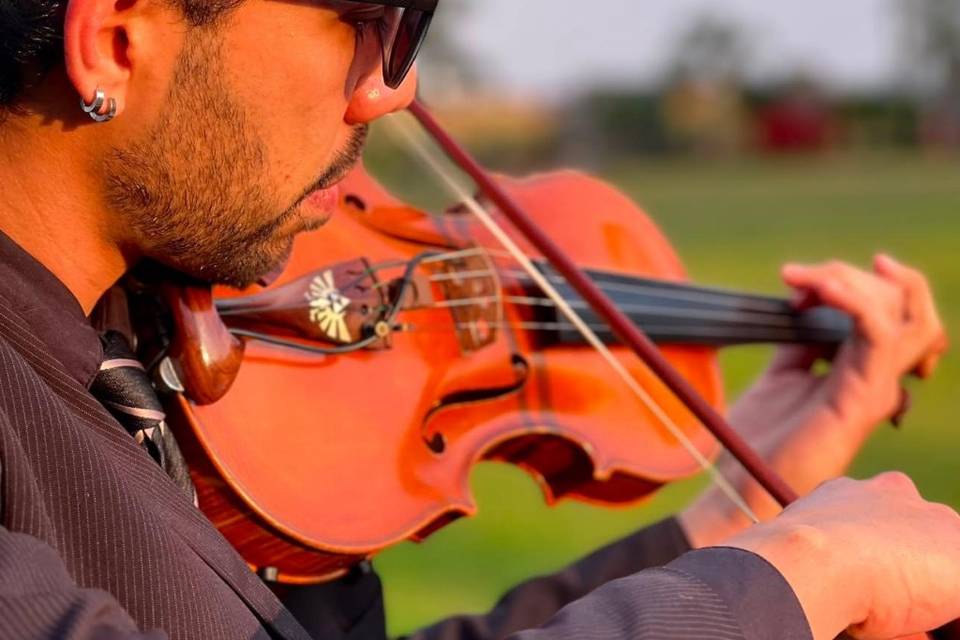 Violino
