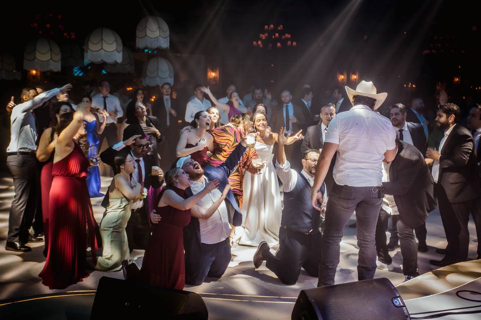 SERTANEJO CLÁSSICOS E RAÍZ