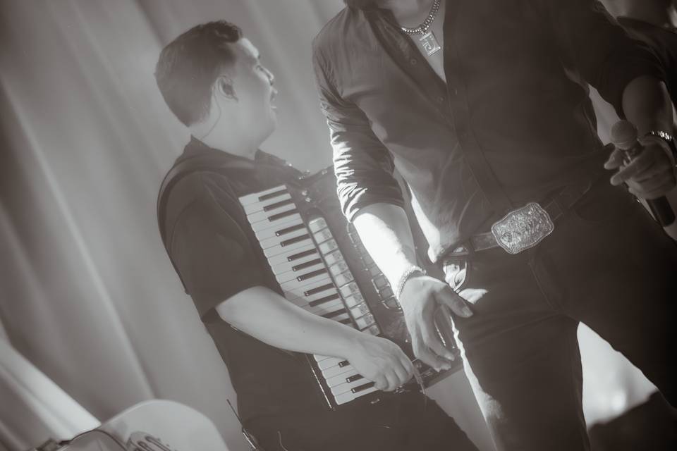 SERTANEJO CLÁSSICOS E RAÍZ