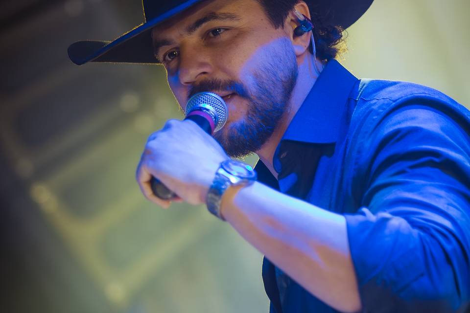 SERTANEJO CLÁSSICOS E RAÍZ