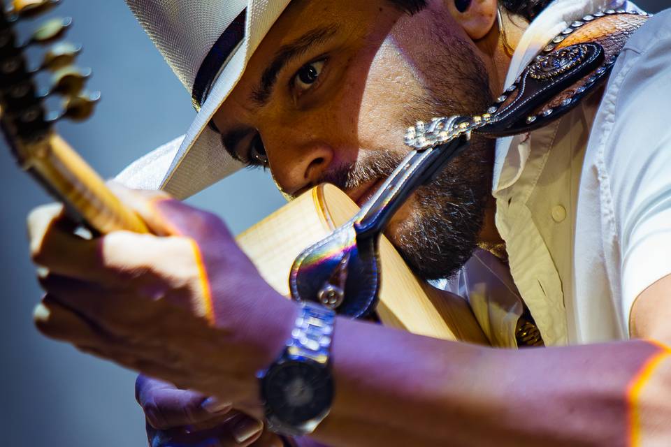 SERTANEJO CLÁSSICOS E RAÍZ