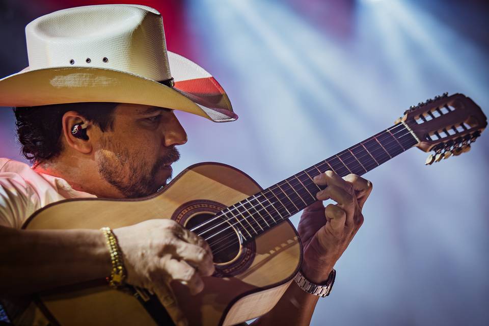 SERTANEJO CLÁSSICOS E RAÍZ