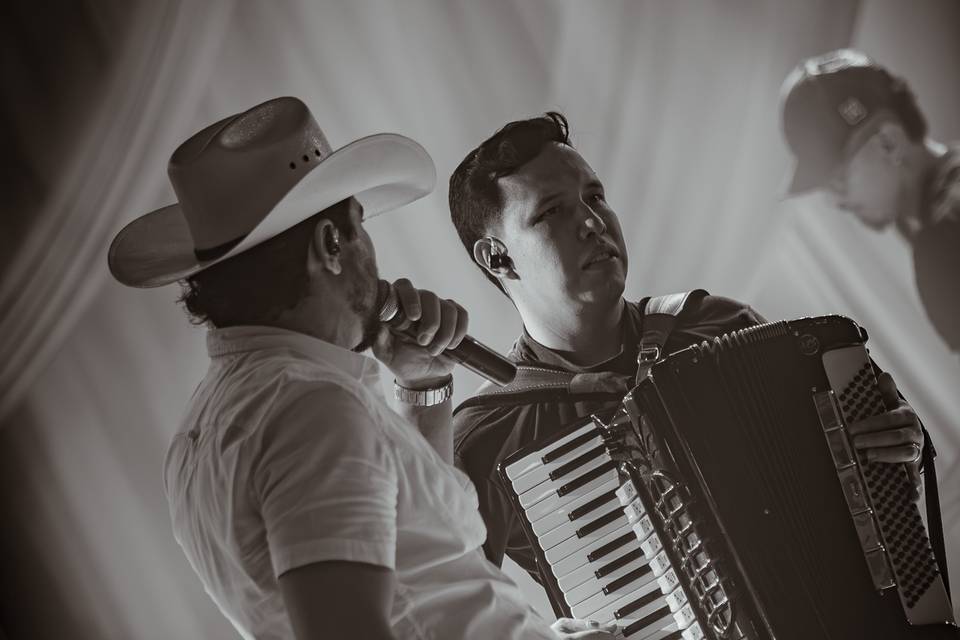 SERTANEJO CLÁSSICOS E RAÍZ