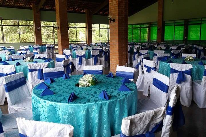 Alicy Flor & Art Eventos