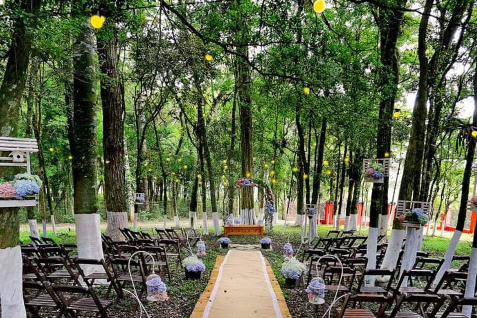 Alicy Eventos