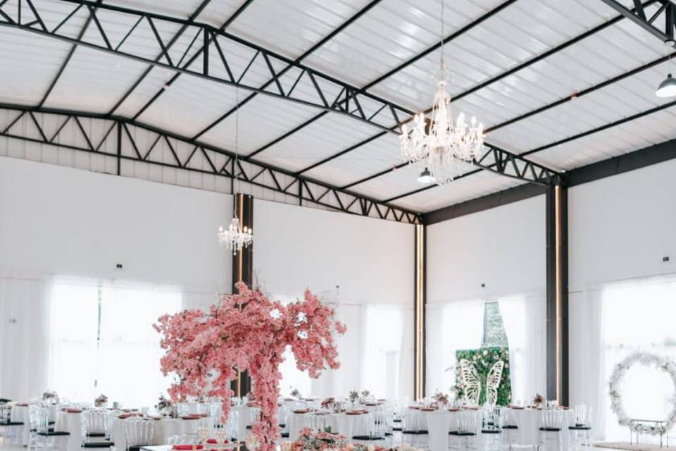 Alicy Eventos
