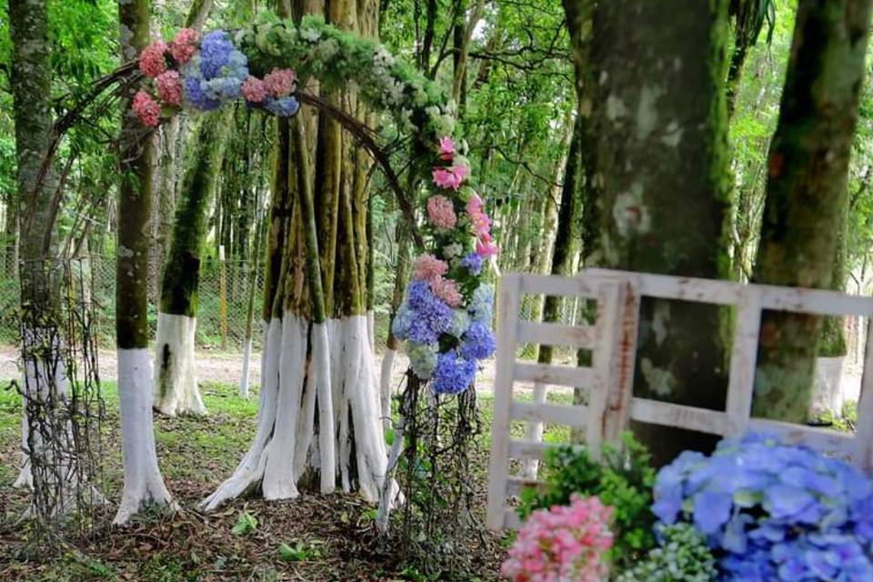 Alicy Eventos