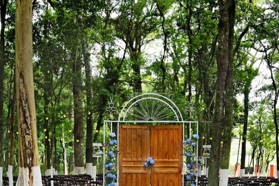 Alicy Eventos