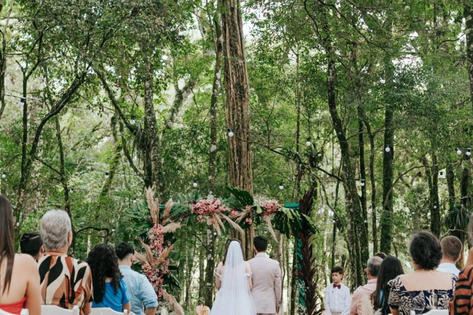Alicy Eventos