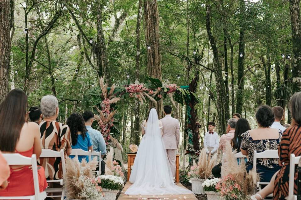 Alicy Eventos