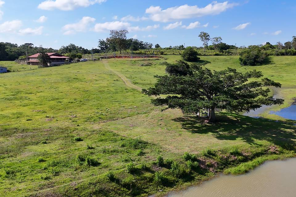 Natureza integrada ao espaço