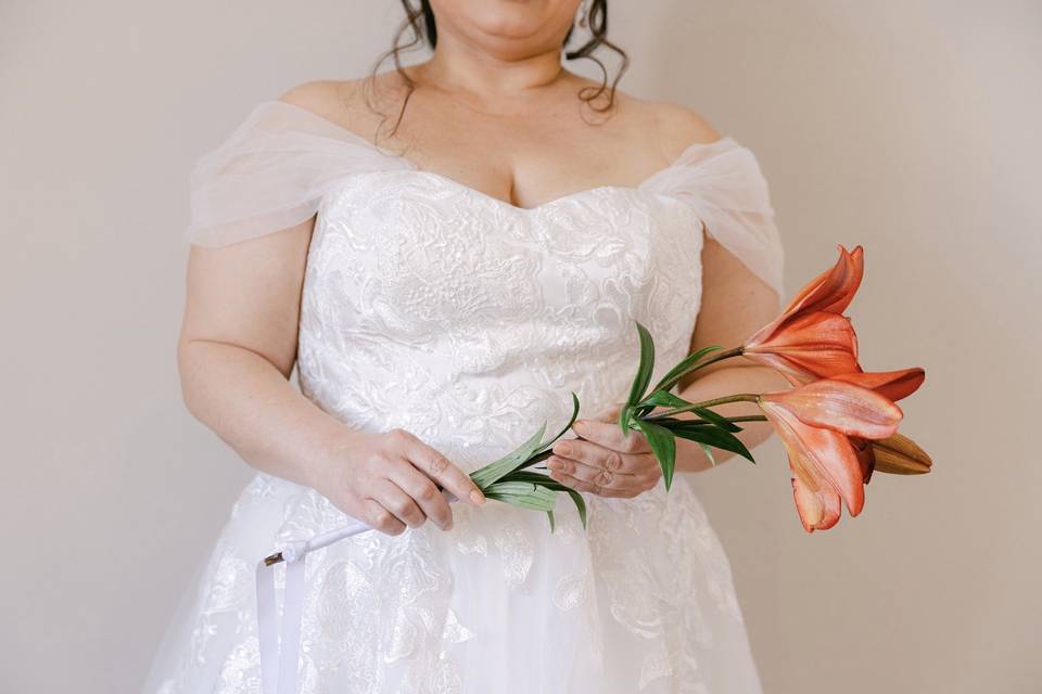 Modelo Ofélia