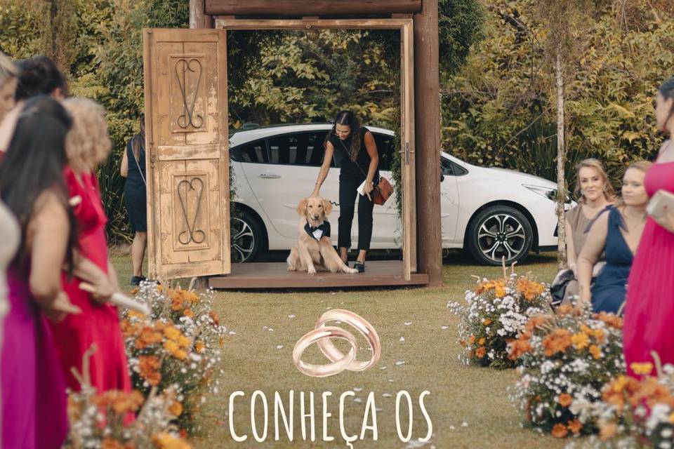 Noáh na entrada com as aliança