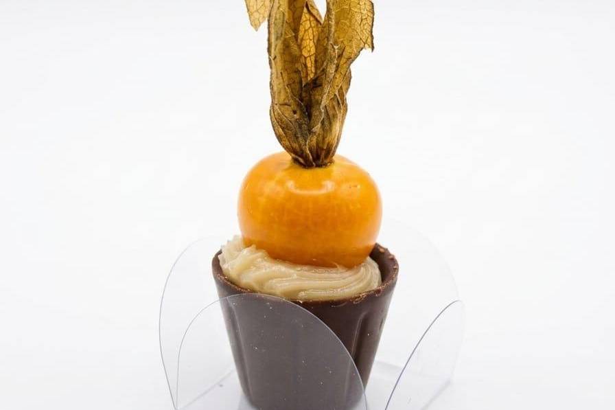 Copinho Physalis
