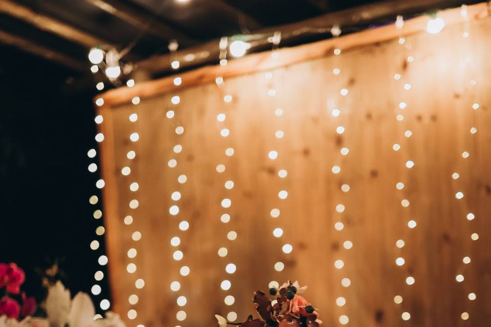 Fotógrafo de Casamento